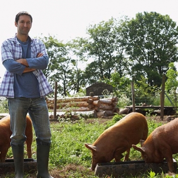 A Farmer, A Pig, and A Senior